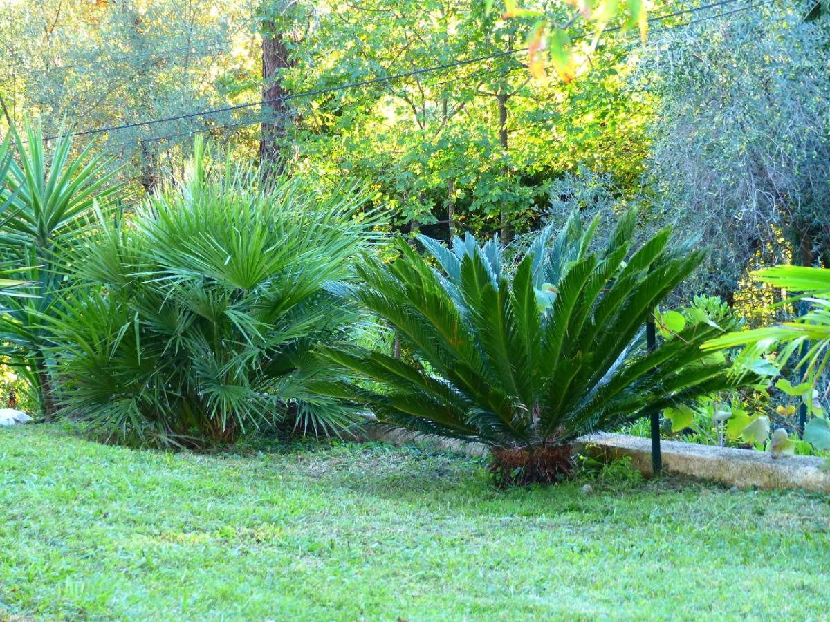 O Tilia D'Azur Bed & Breakfast Roquefort-les-Pins Luaran gambar